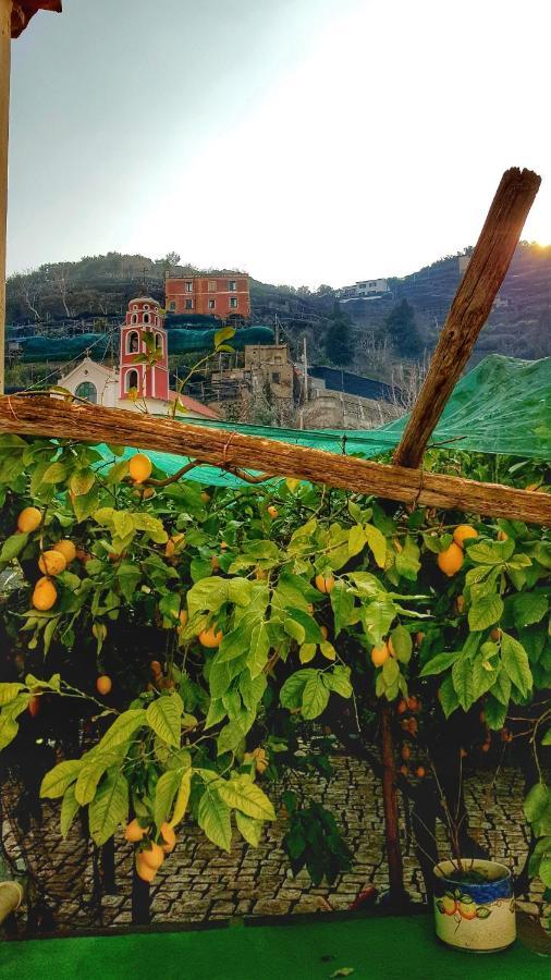 Il Limoneto Degli Angeli Villa Minori Eksteriør billede