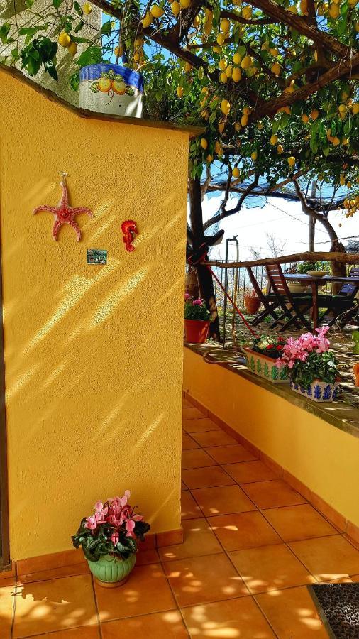 Il Limoneto Degli Angeli Villa Minori Eksteriør billede
