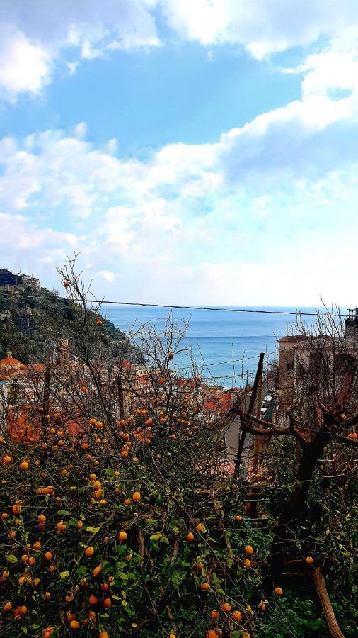 Il Limoneto Degli Angeli Villa Minori Eksteriør billede