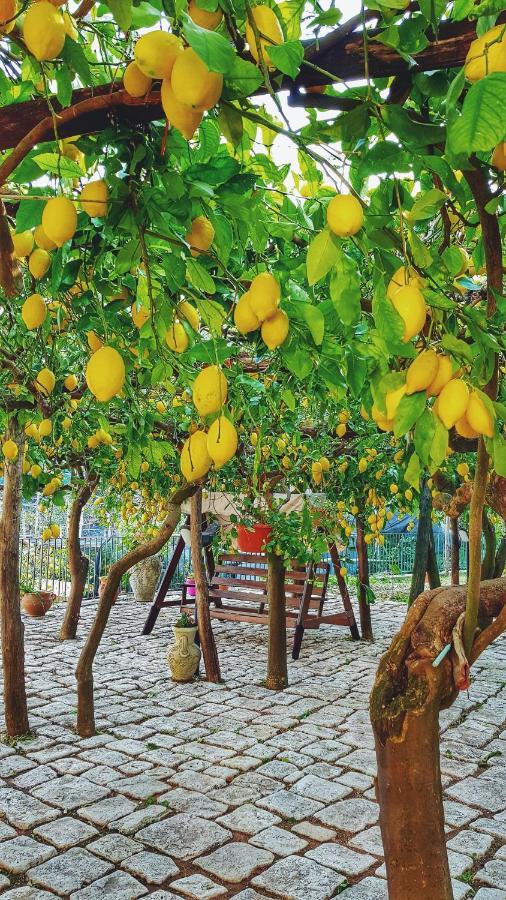 Il Limoneto Degli Angeli Villa Minori Eksteriør billede