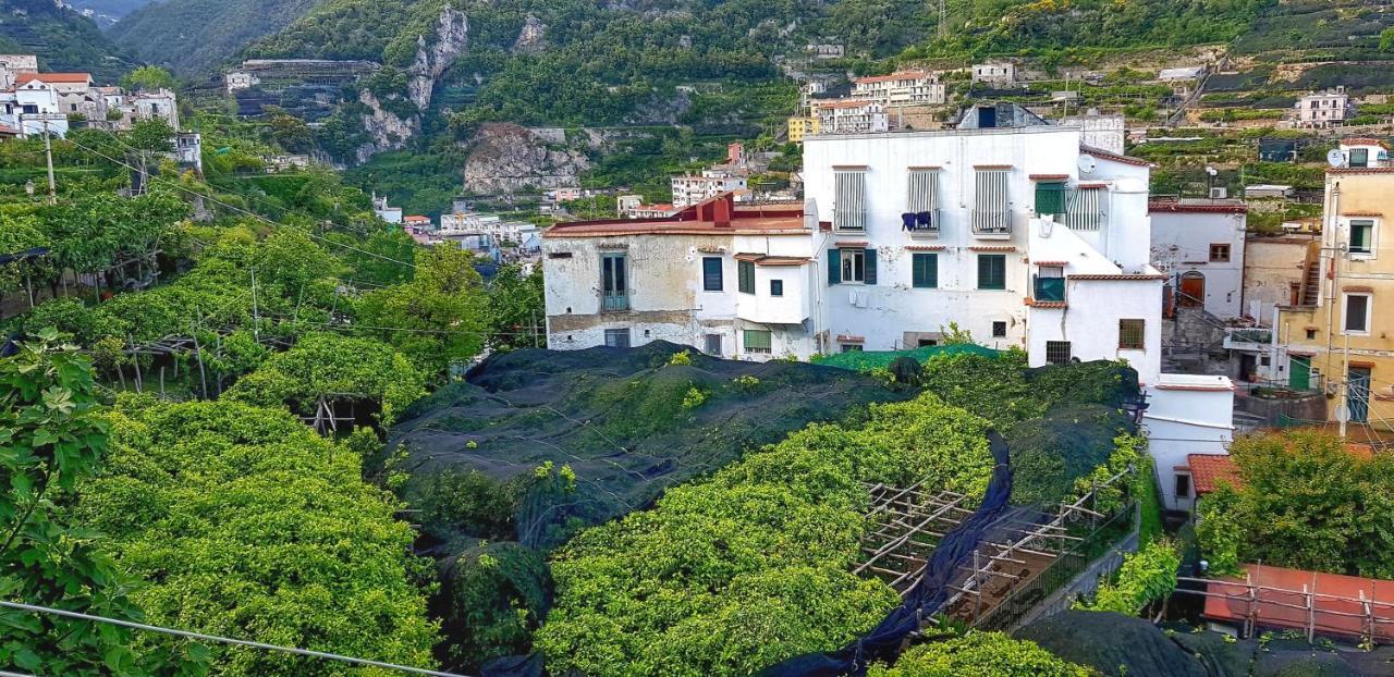 Il Limoneto Degli Angeli Villa Minori Eksteriør billede