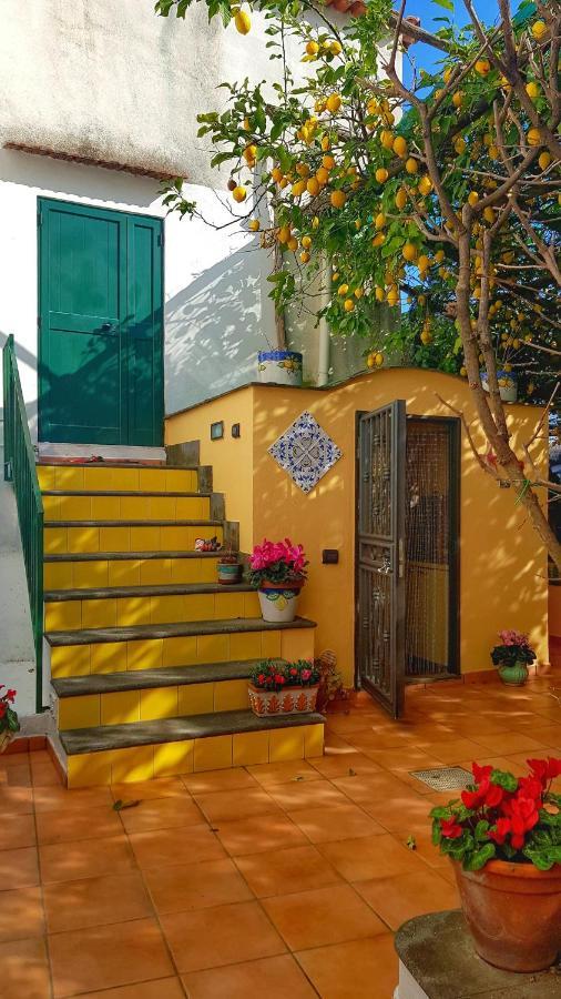 Il Limoneto Degli Angeli Villa Minori Eksteriør billede