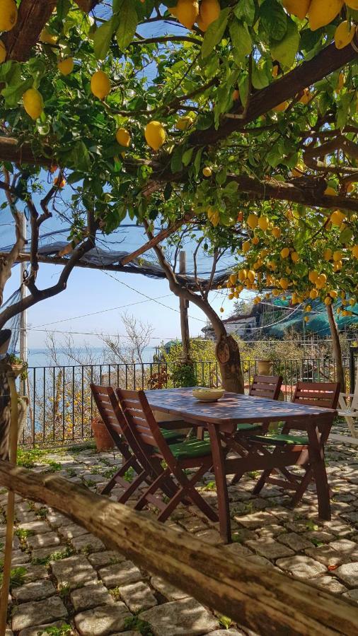 Il Limoneto Degli Angeli Villa Minori Eksteriør billede