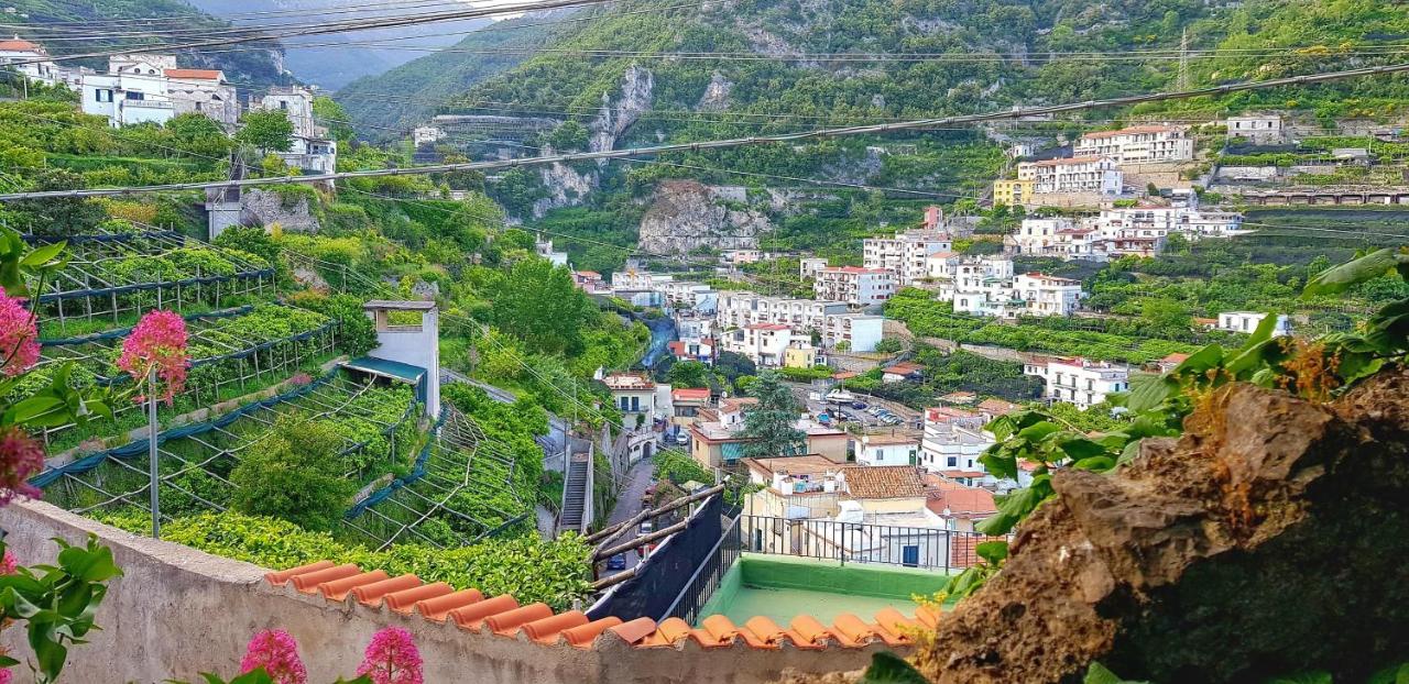 Il Limoneto Degli Angeli Villa Minori Eksteriør billede