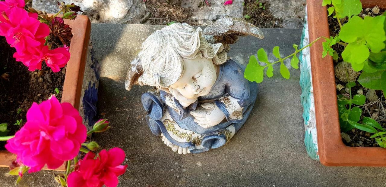 Il Limoneto Degli Angeli Villa Minori Eksteriør billede